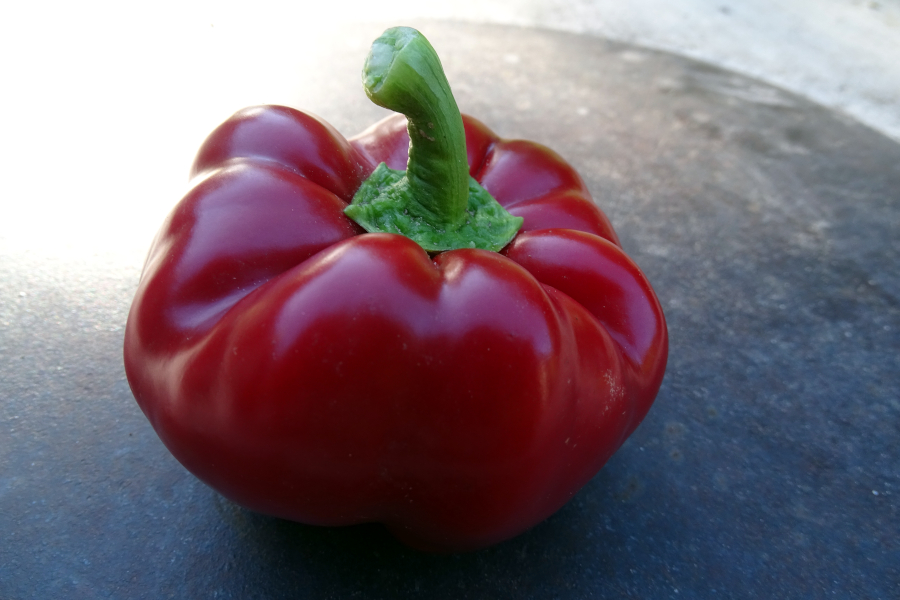 Topepo Rosso pepper